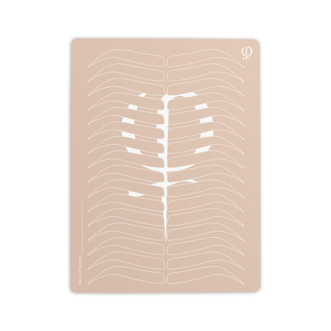 Practising Latex printed shape and outlines 3pcs