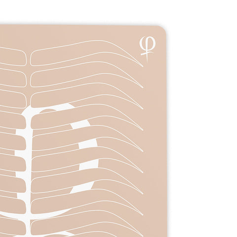 Practising Latex printed shape and outlines 3pcs